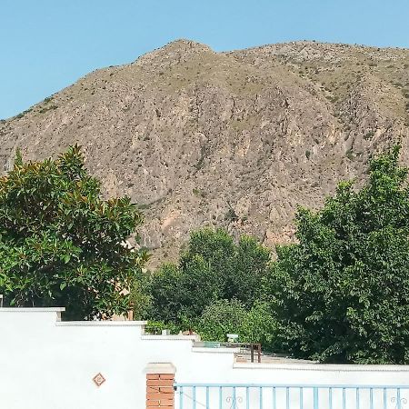 Recovery Mountain Homestay Alicante Exterior photo