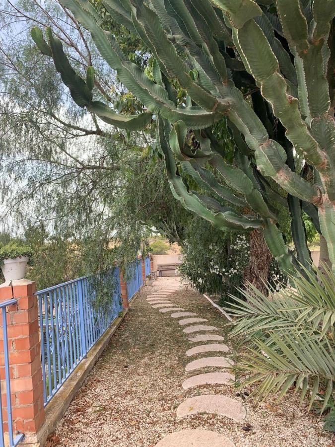 Recovery Mountain Homestay Alicante Exterior photo